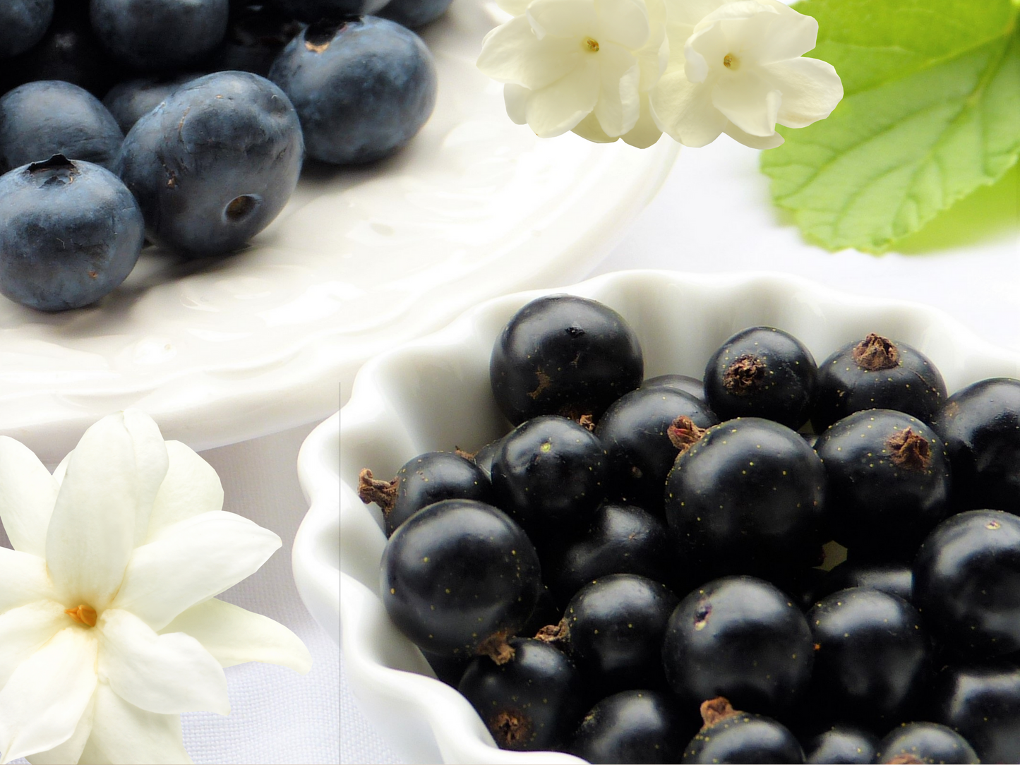 BLACK CURRANT AND JASMINE ROOM SPRAY