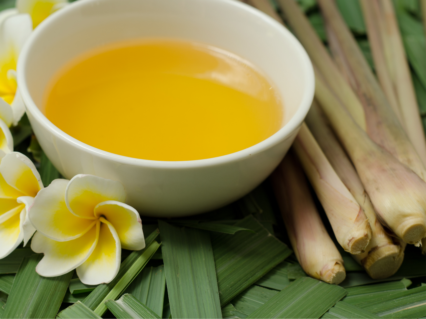 CITRONELLA ROOM SPRAY