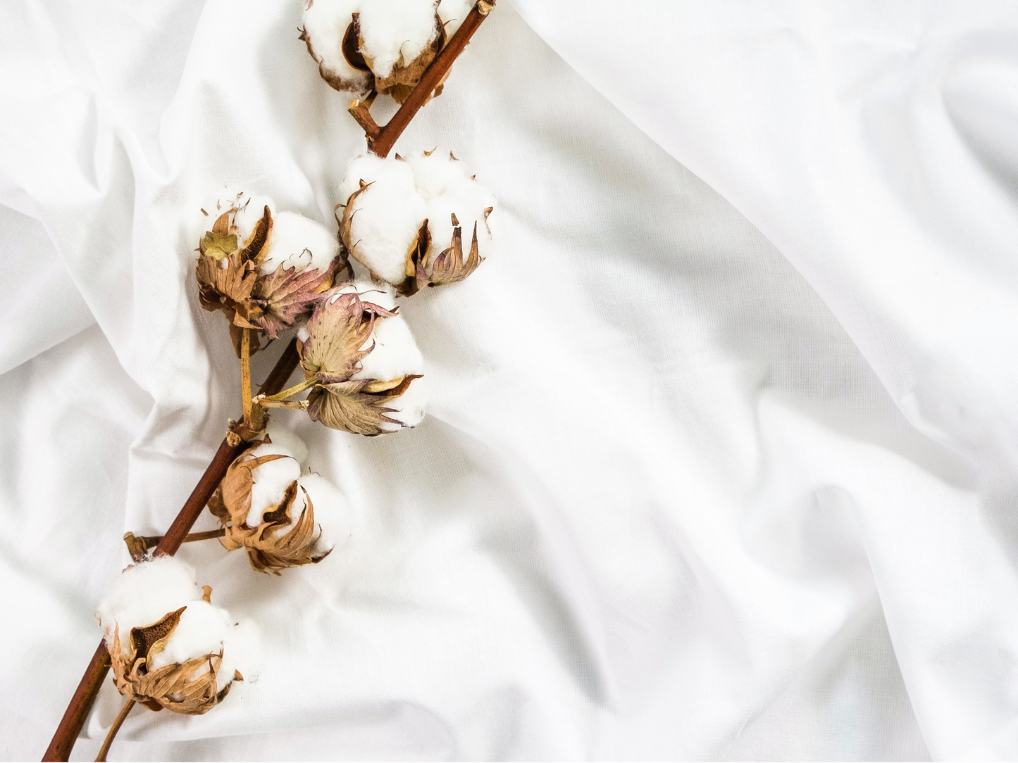 CLEAN COTTON ROOM SPRAY