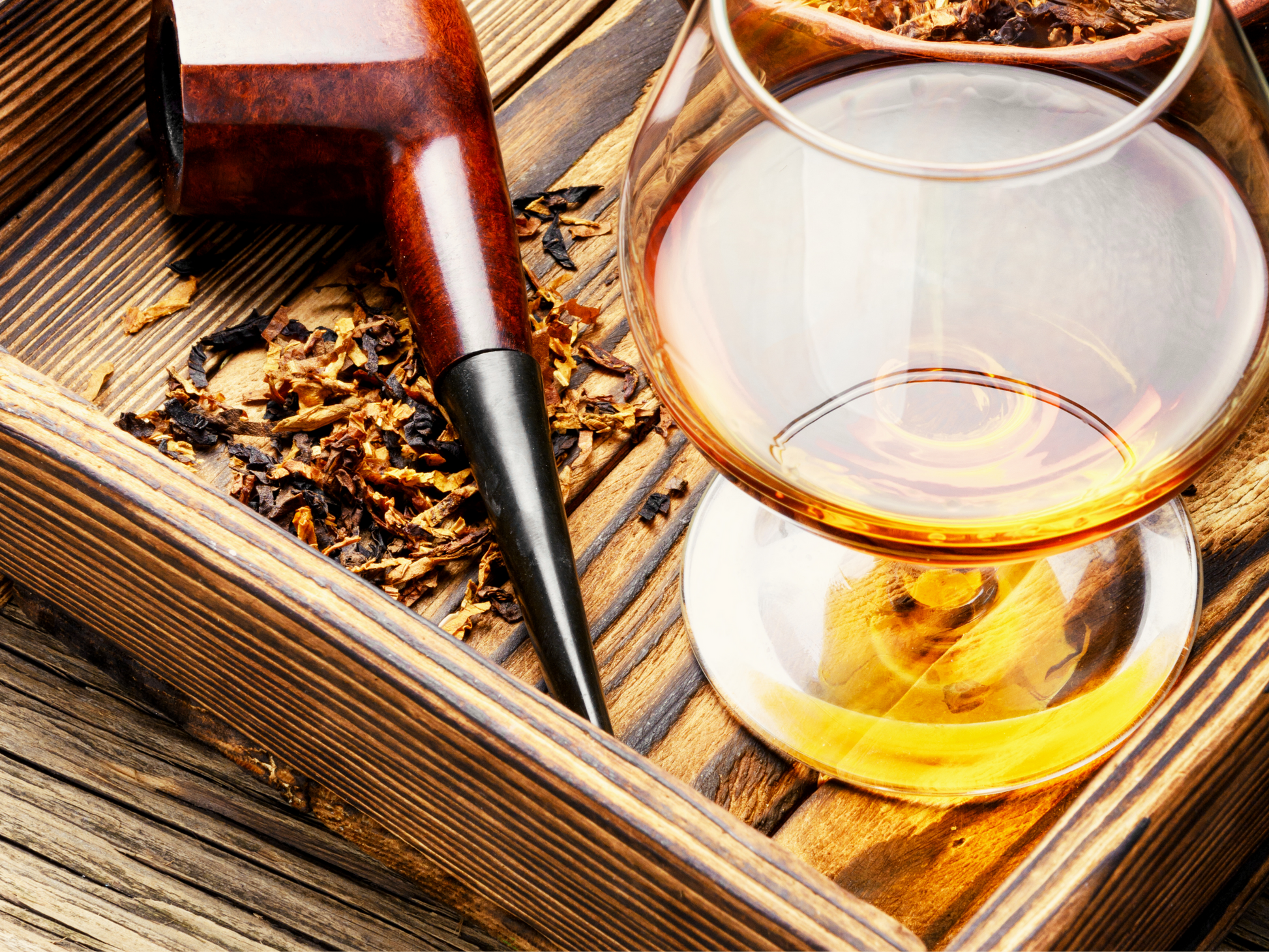 buy tobacco seeds Indian Tobacco Seeds buy tobacco seeds Indian Tobacco Seeds