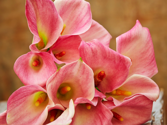 CALLA LILY ROOM SPRAY