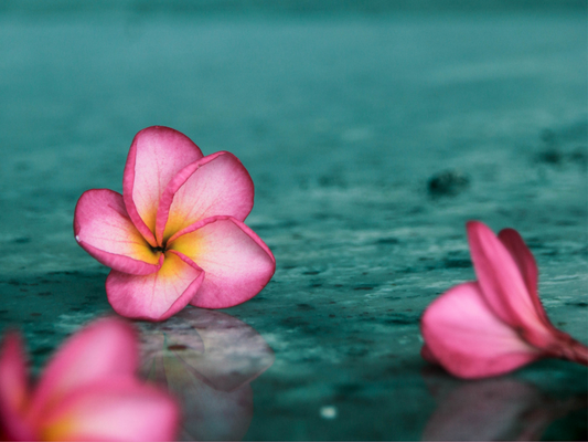 SEASIDE PLUMERIA ROOM SPRAY